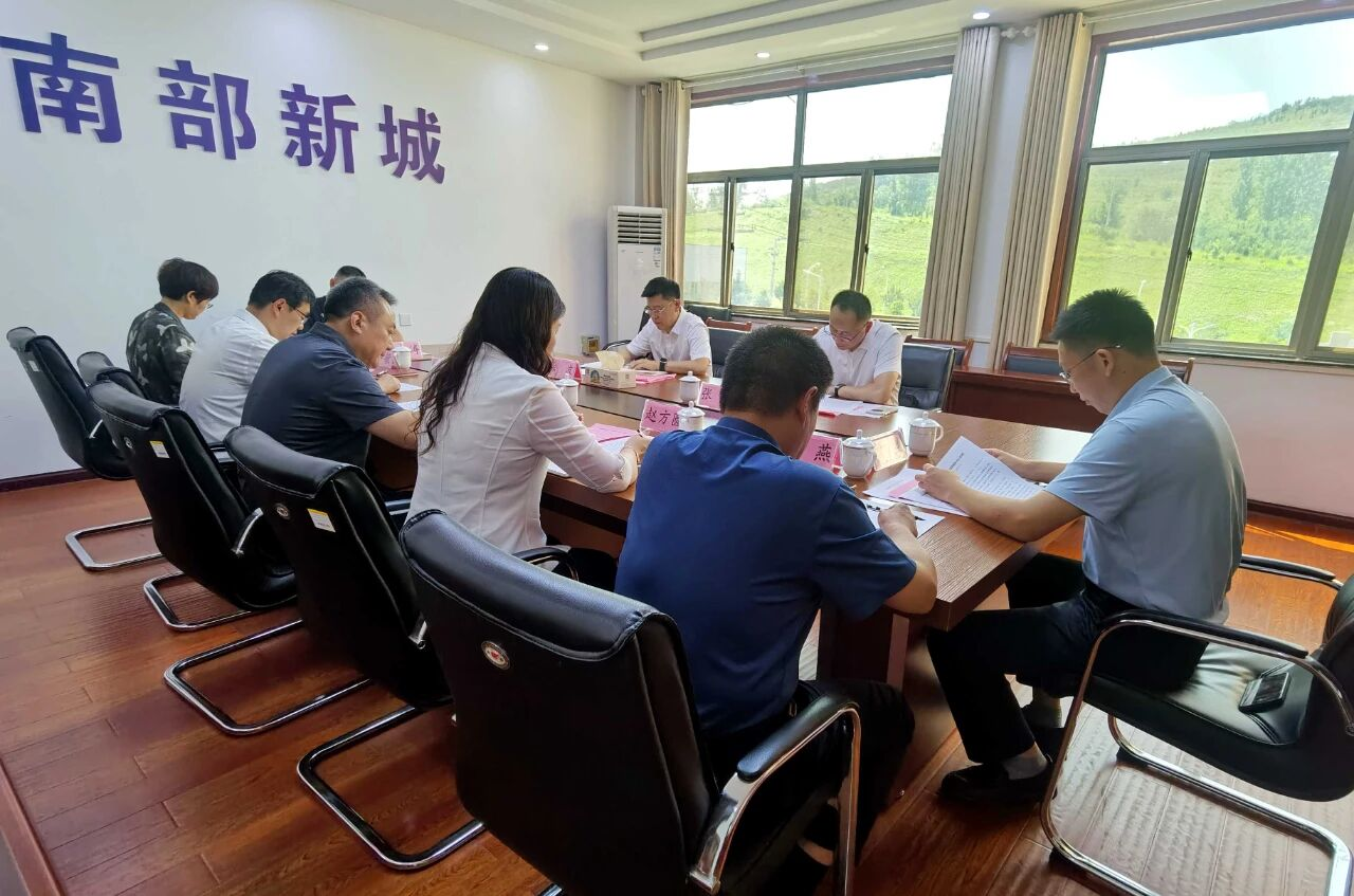徐波到南部新城调研汛期安全防范和经济社会发展情况